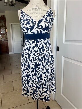 EUC Ann Taylor 100% silk spaghetti strap A-line, navy and white v-neck dress 6P